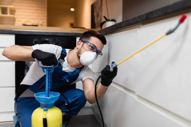 Best Pest Control Near Me  in Bridge City, LA